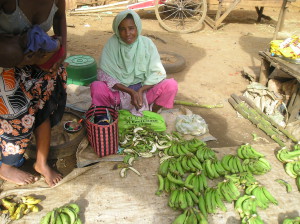 formation professionnelle des agents de crédit un stand au marché