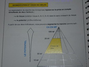 Michel HAMON l'école de la microfinance