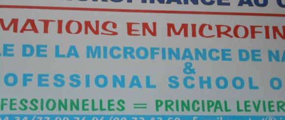 Michel HAMON l'école de la microfinance