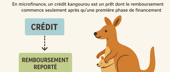 LE CREDIT KANGOUROU